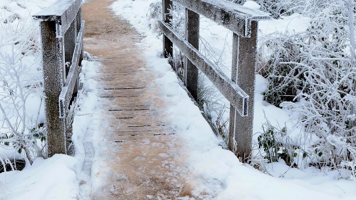 직관과 무의식 판단이 뇌에서 작동하는 신경 메커니즘 분석