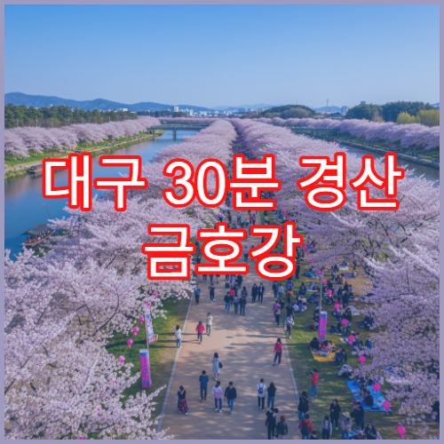 대구 30분 경산 금호강 벚꽃길 반려견 동반 산책 허용 구간 공개