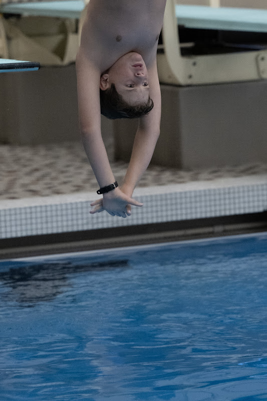 Photo from MS: Swim & Dive of Reed Lawrence