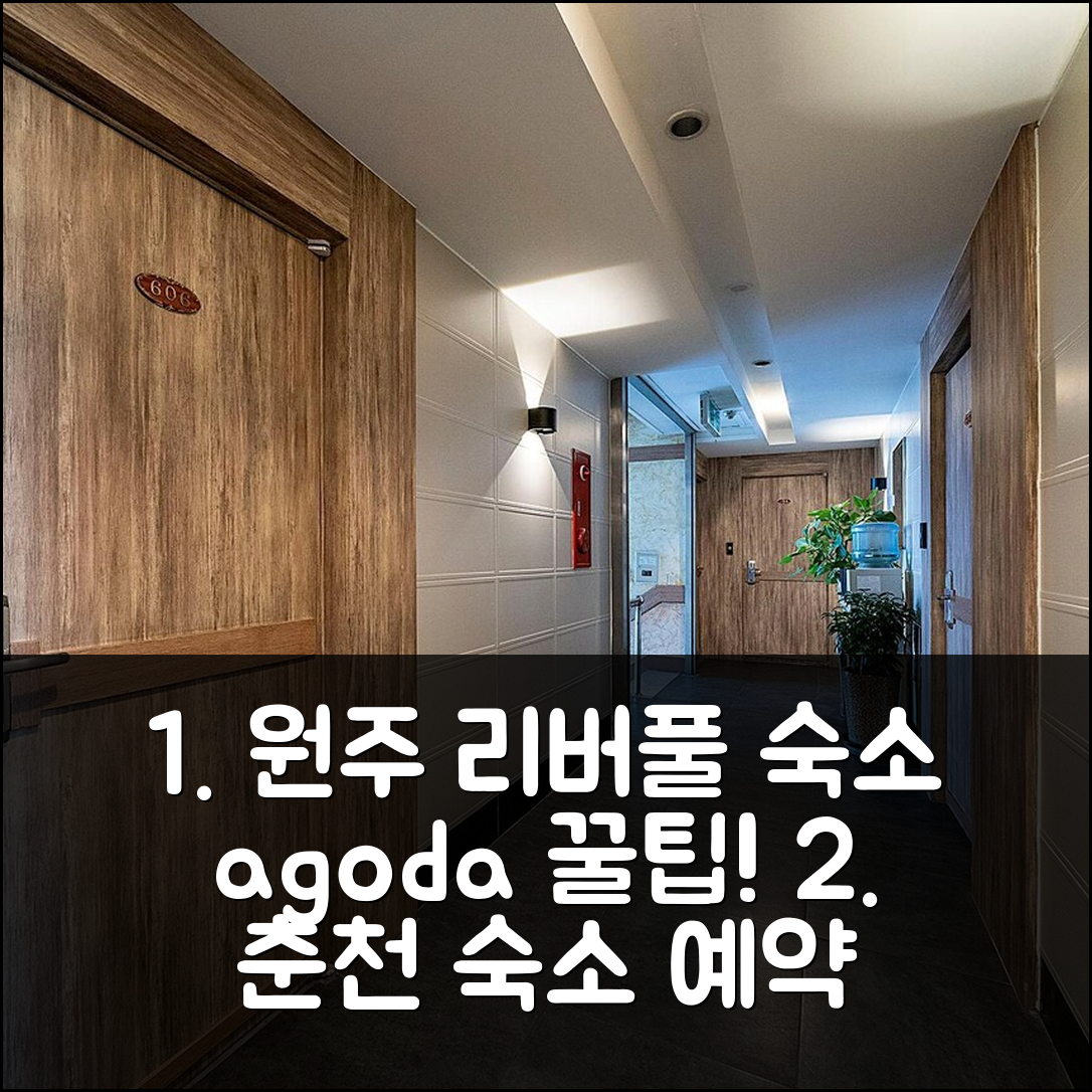 원주 리버풀 춘천 숙소 예약 후기 꿀팁! - 아고다 호텔 추천