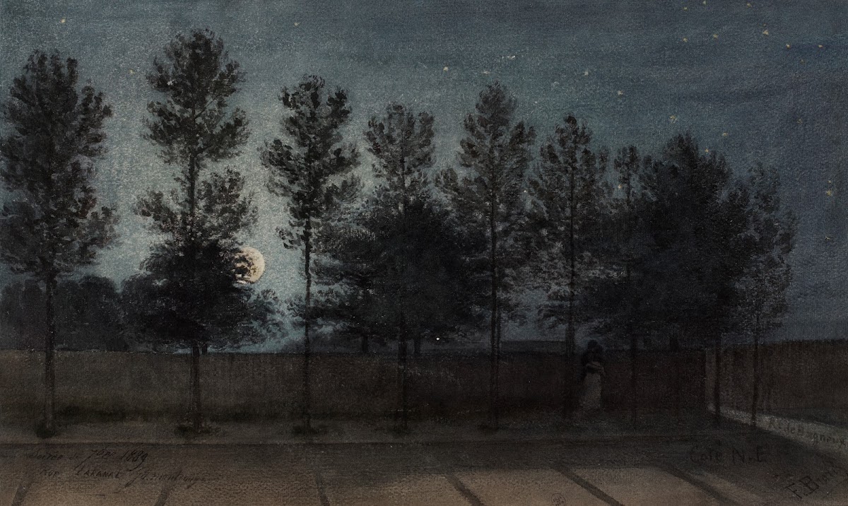 Vue de la rue Lakanal au Grand Montrouge en 1889 effet de Lune 1889