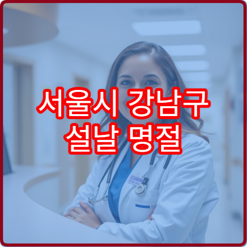 서울시 강남구 설날 명절 정형외과 연휴 진료 병원 관절염·허리디스크·근육통 치료 가능