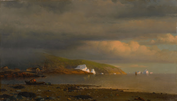Near Cape St Johns Coast of Labrador 1874