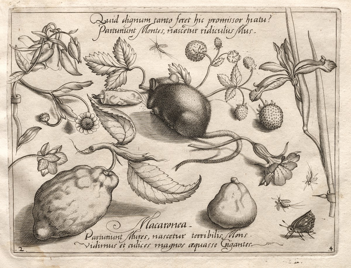 What can emerge in keeping with such a cavernous promise 1592