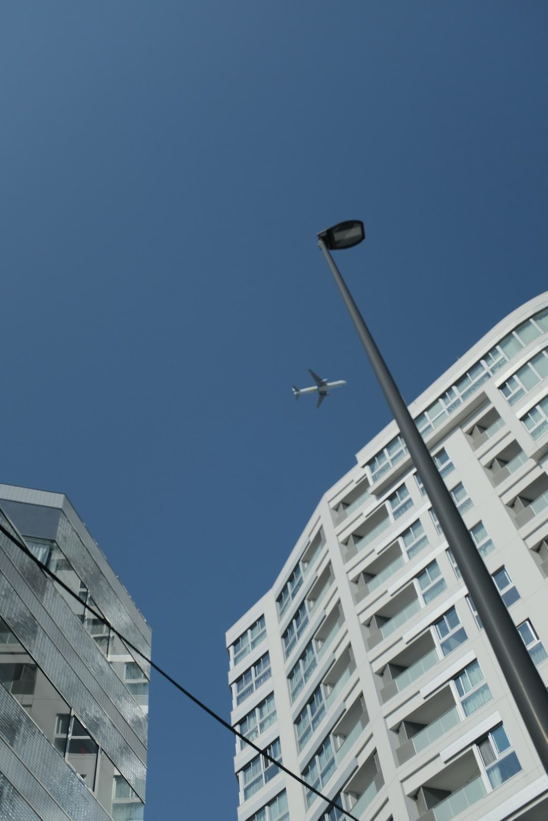 실패 없는 레고랜드 맛집 & 아이와 함께 쉬어가기 좋은 숨겨진 공간