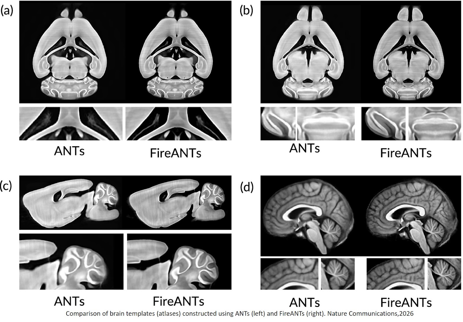 Adaptive Riemannian optimization for multi- scale diffeomorphic matching