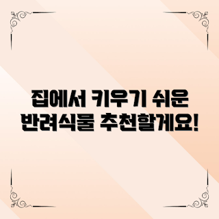 반려식물추천, 집에서 기르기, 실내 식물, 반려식물 관리, 초보자 식물