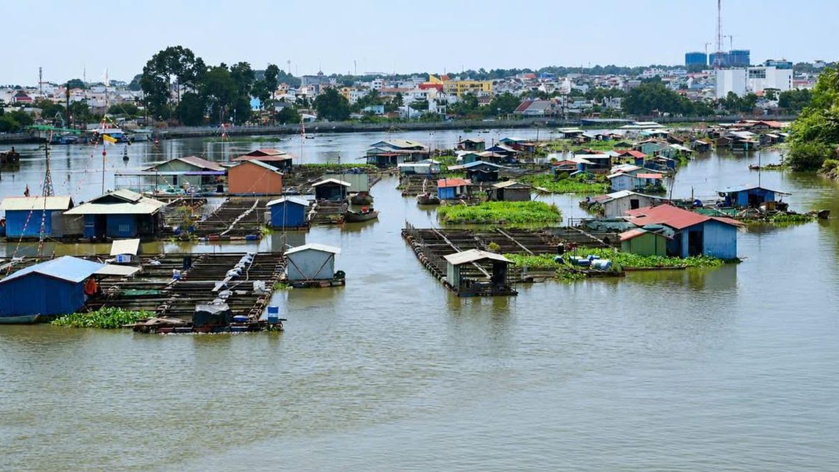 Đồng Nai 'khai tử' hàng nghìn lồng bè giữa lòng đô thị - Tạp chí Người Đưa Tin