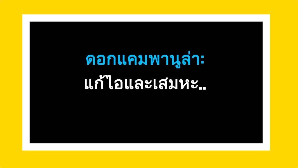 ดอกแคมพานูล่า: แก้ไอและเสมหะได้ผลจริง (ข้อเท็จจริง)