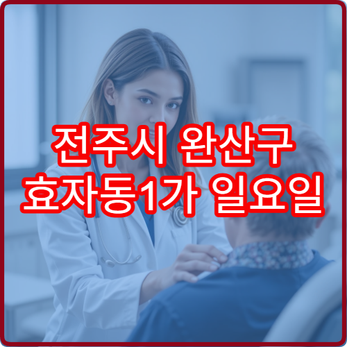 전주시 완산구 효자동1가 일요일 진료 안과 눈 충혈 시야 흐림 상담