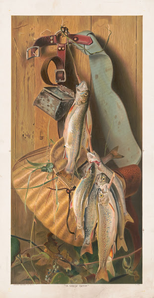 A great catch 1905