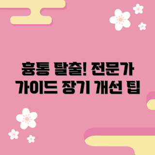 흉통줄이기코르셋, 코르셋 효과는 무엇인가, 어떻게 흉통을 줄이나, 흉통 원인과 해결 방법, 전문가 추천 코르셋