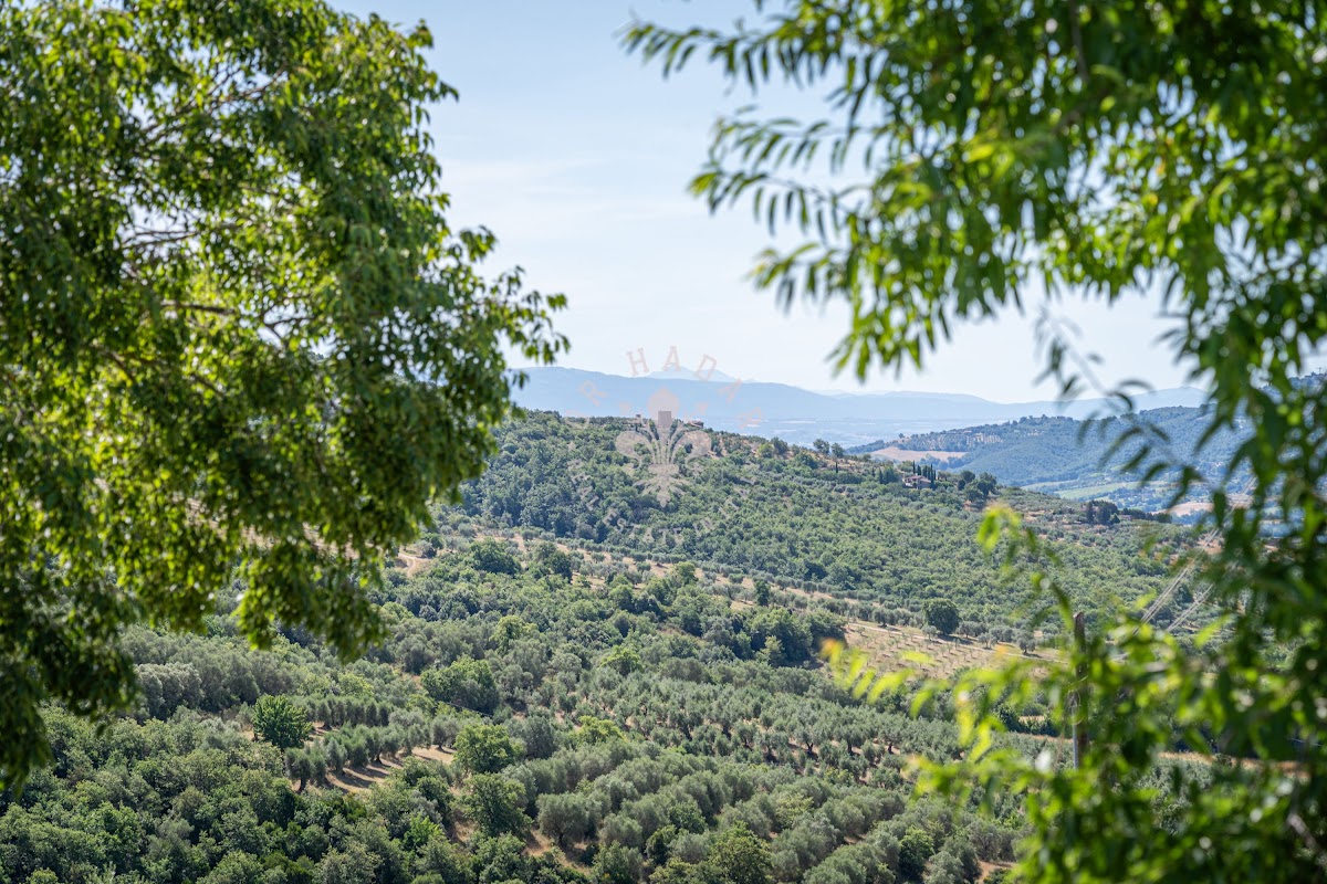 קזאלה דל פוצו (Casale del Pozzo) — 20