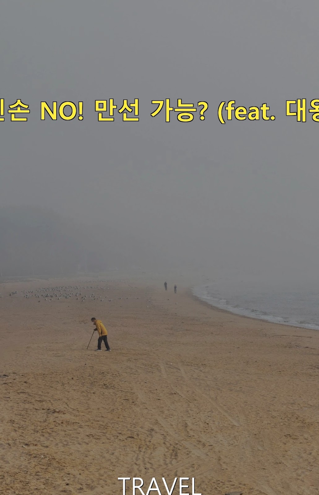 2026 태안 갯벌체험 완벽 가이드: 물때, 준비물, 명소, 안전 수칙 및 채집 노하우 분석