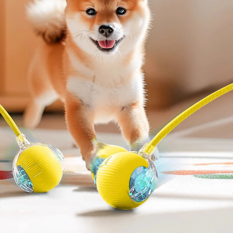 Interactive Spring Ball for Cats with Recharge