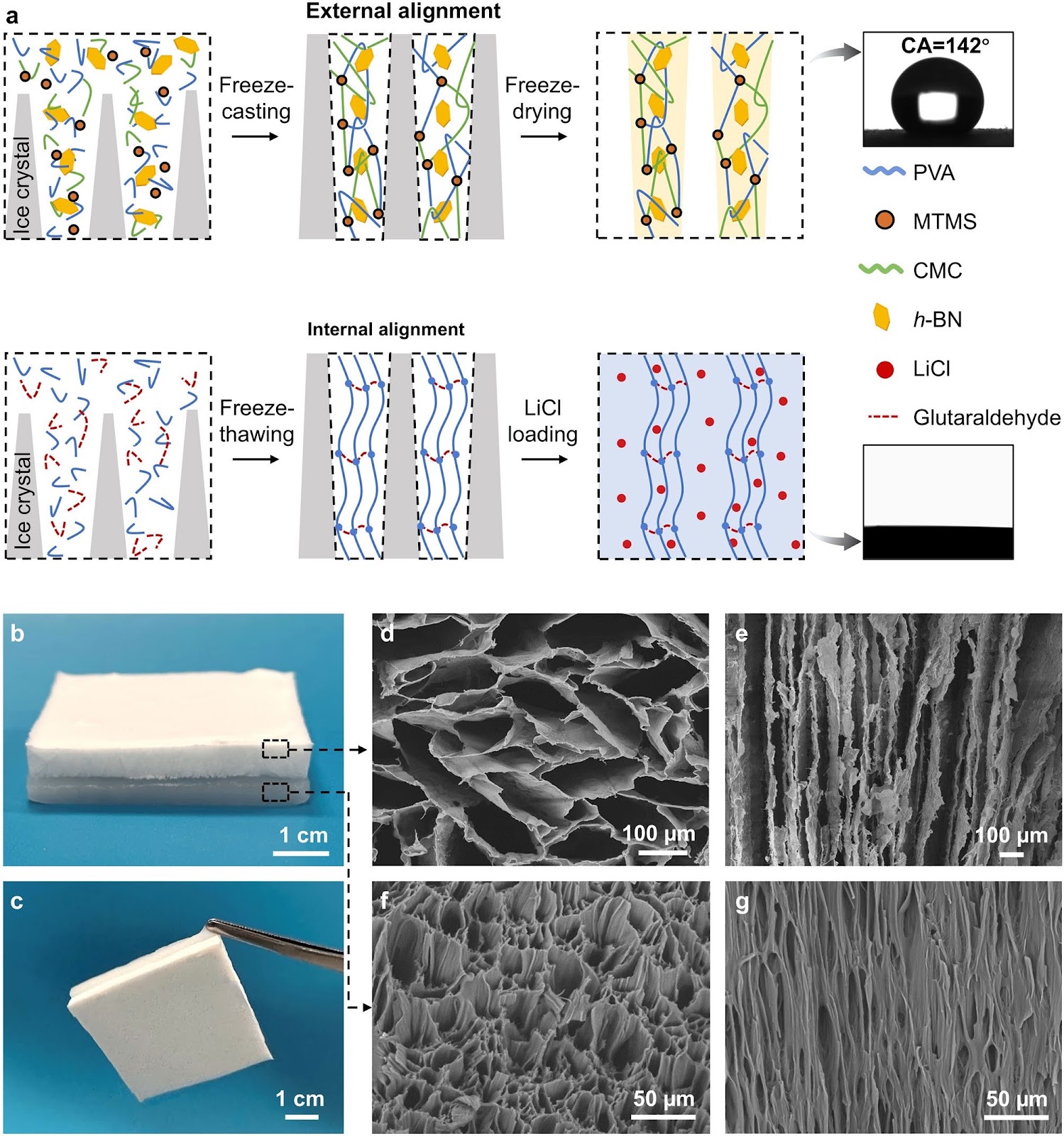 Anisotropic Hygroscopic Hydrogels with Synergistic Insulation-Radiation-Evaporation for High-Power and Self-Sustained Passive Daytime Cooling