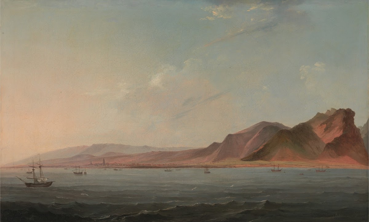View of Santa Cruz Tenerife