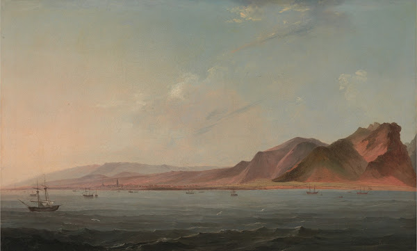 View of Santa Cruz Tenerife