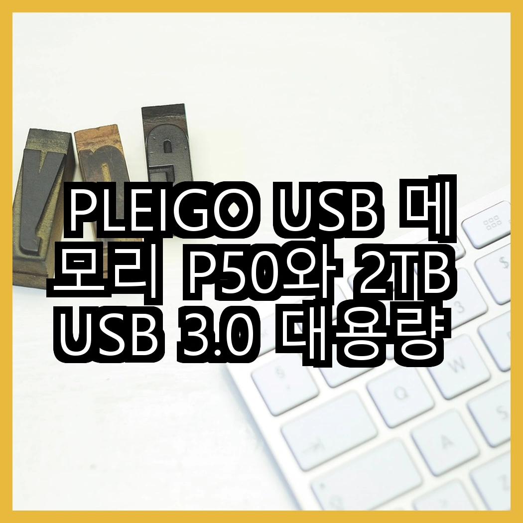 PLEIGO USB 메모리 P50와 2TB USB 3.0 대용량 메모리, 어떤 선택이 더 나을까? 썸네일