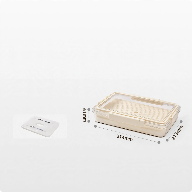 Food storage box made of food-safe PET, 4–5 L