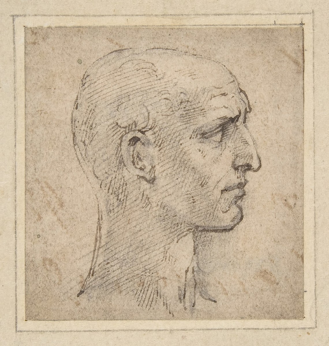 Head of a Man in Profile to Right 150340