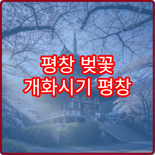 평창 벚꽃 개화시기 평창 벚꽃 언제 필까