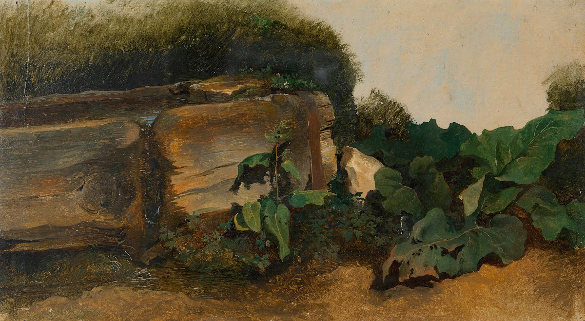 Blattpflanzen bei einem Brunnentrog ca 18301840