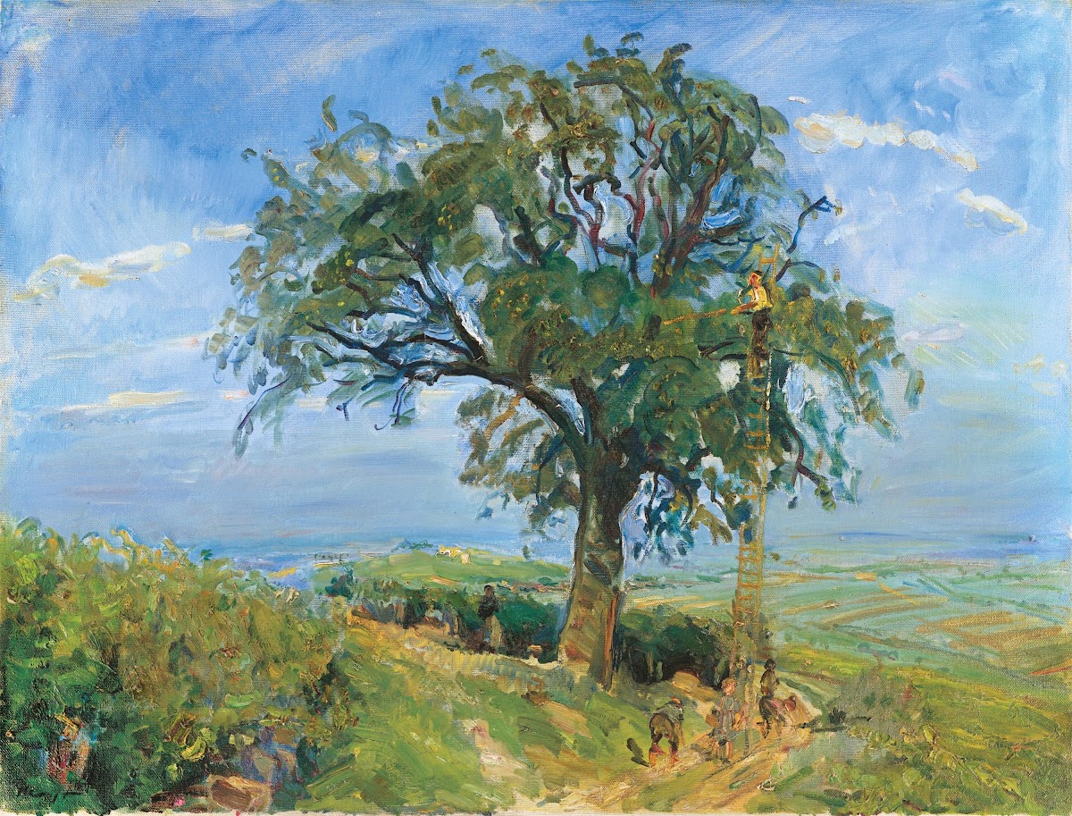Fruit harvest in the Palatinate The pear tree 1917