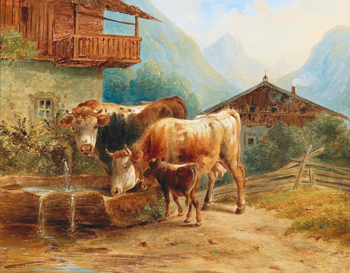 Kühe An Der Tränke