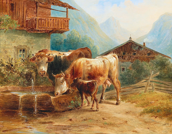 Kühe An Der Tränke
