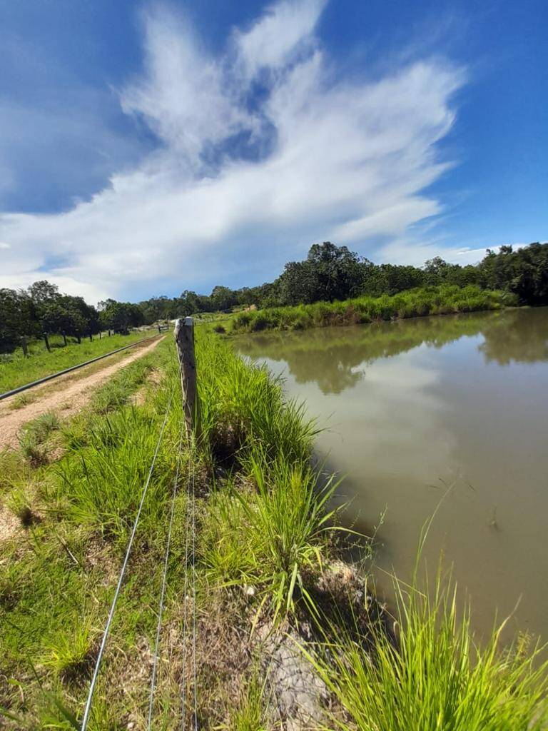 Fazenda em São Salvador do Tocantins - TO 8
