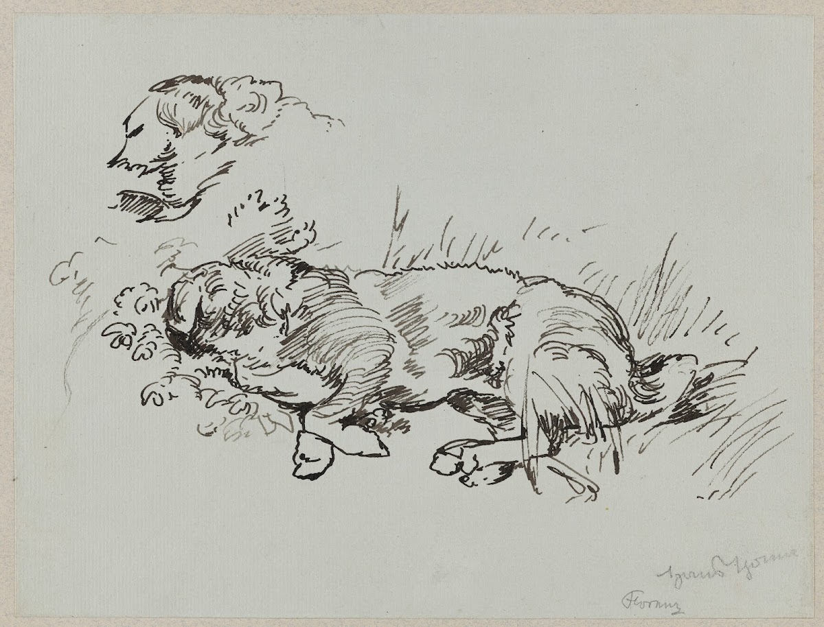 Dog Lying in the Grass 1887