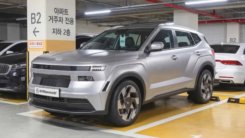 출처: 온라인 커뮤니티