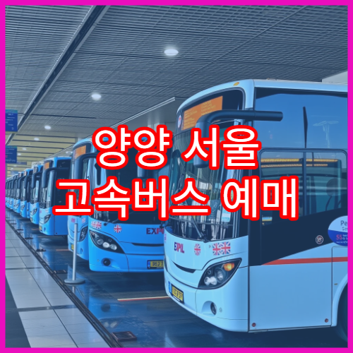 양양 서울 고속버스 예매 일정과 예매처 바로가기