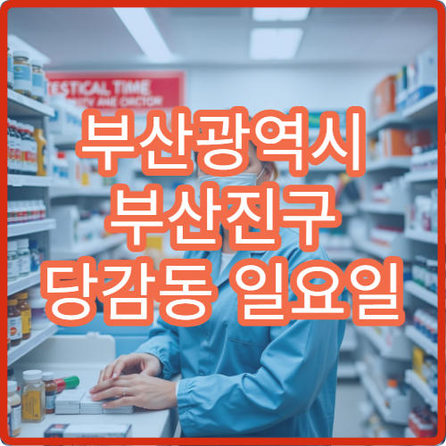 부산광역시 부산진구 당감동 일요일 약국 위치 안내