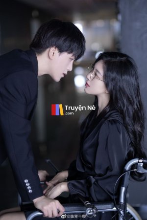 Công Ty Mèo Lạ Kỳ