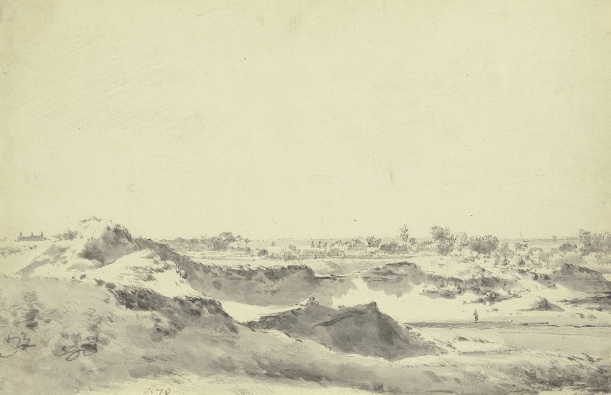 Dune landscape