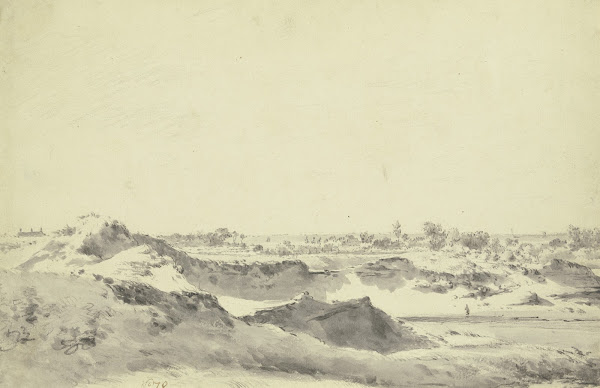 Dune landscape
