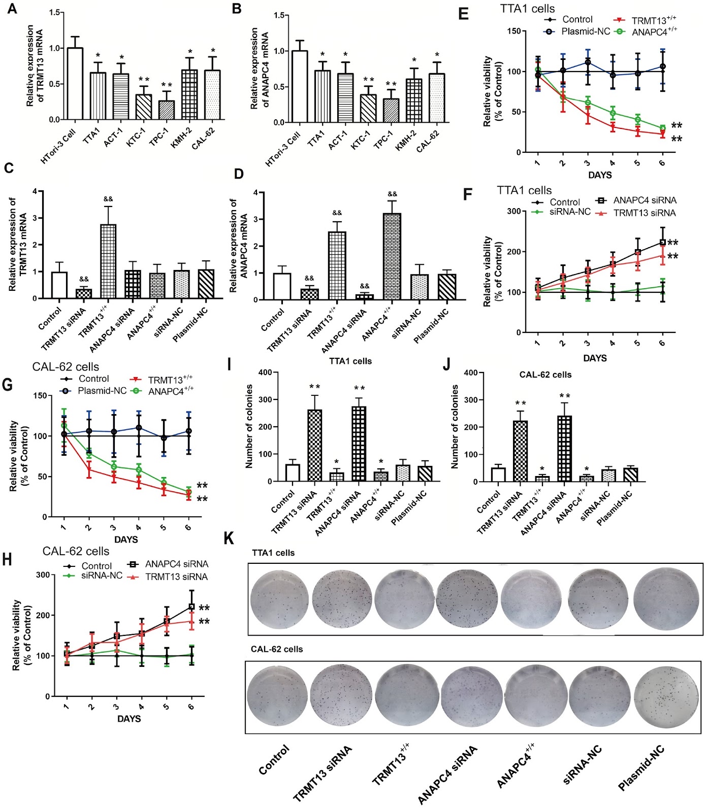 TRMT13 inhibits the growth of papillary thyroid cancer by targeting ANAPC4