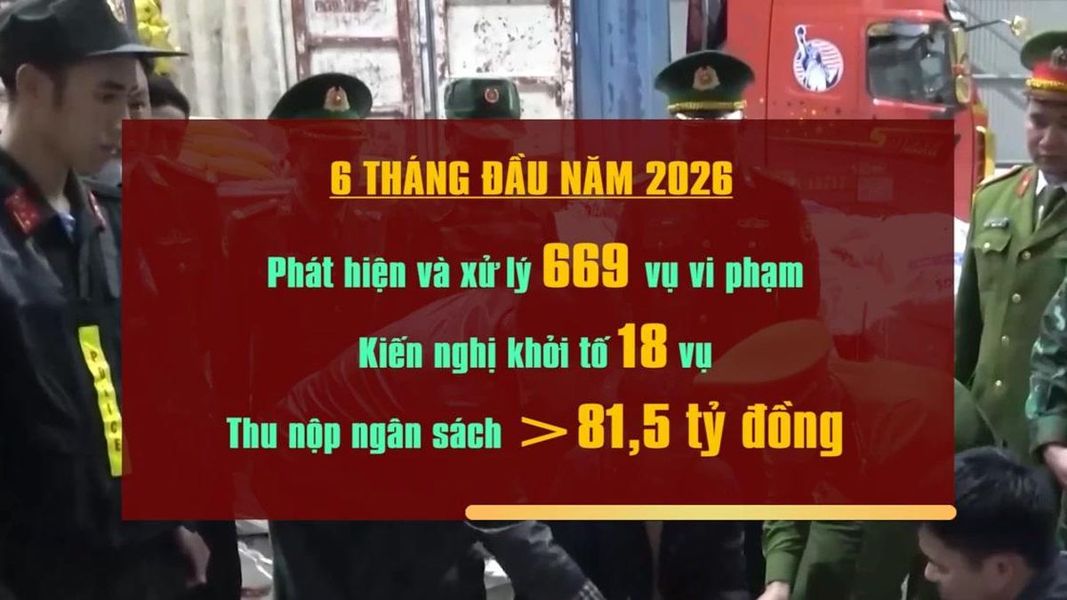 [Video] Hải quan Hà Nội kiến nghị khởi tố 18 vụ việc vi phạm - Báo Nhân Dân
