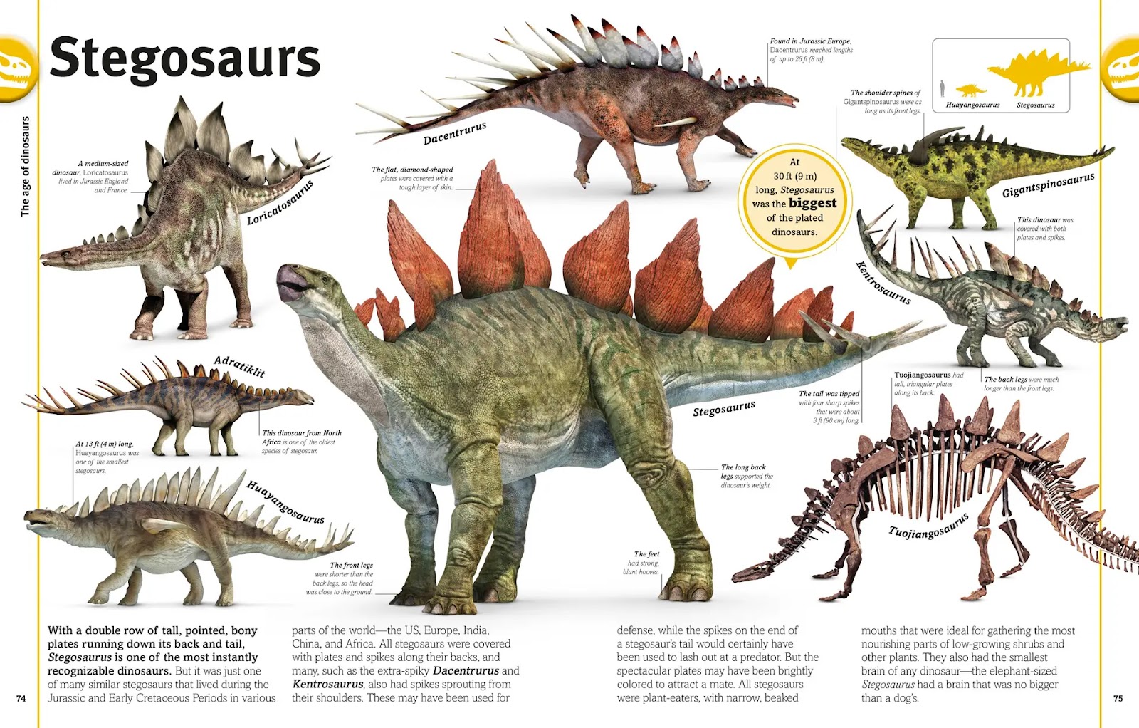 Our World in Pictures: The Dinosaur Book — gambar 3