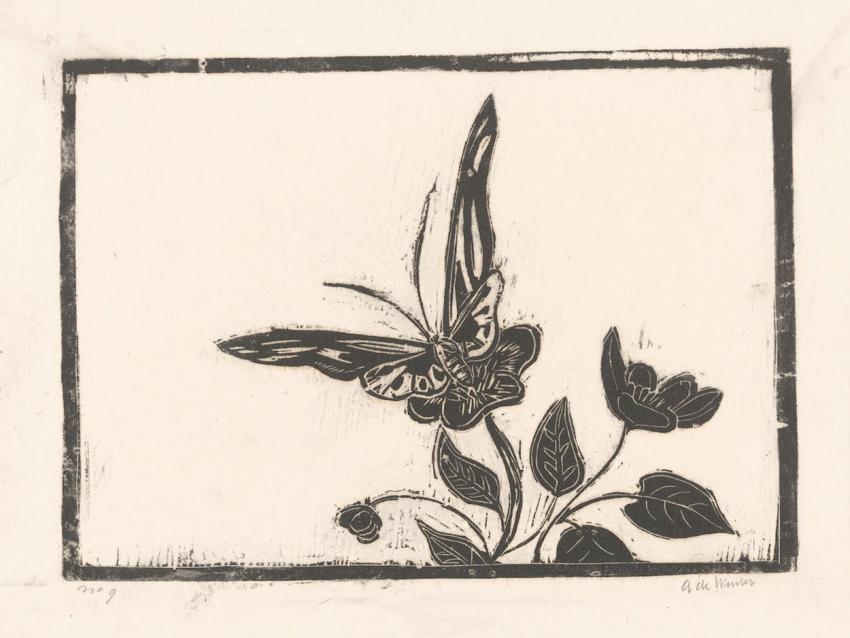 Vlinder op een bloem 1892   1951