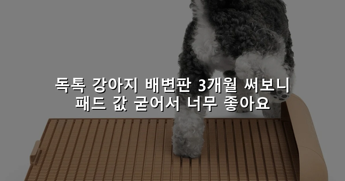독톡 강아지 배변판 3개월 써보니 패드 값 굳어서 너무 좋아요
