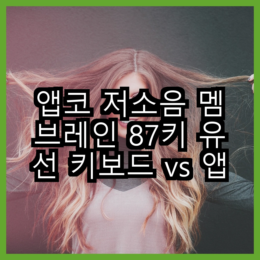 앱코 저소음 멤브레인 87키 유선 키보드 vs 앱코 저소음 108키 키보드, 어떤 선택이 더 나을까? 썸네일