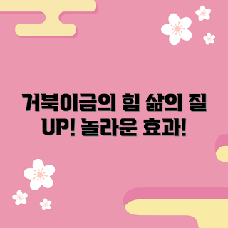 거북이금, 거북이금 효과, 삶의 질 개선, 건강한 식물, 실내 식물