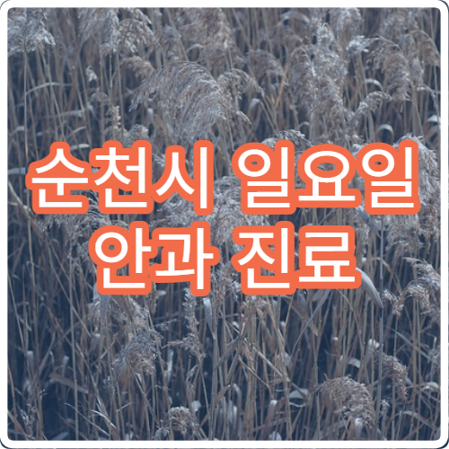 순천시 일요일 안과 진료 병원 – 결막염, 눈 다침, 시력 문제 주말 진료 안내