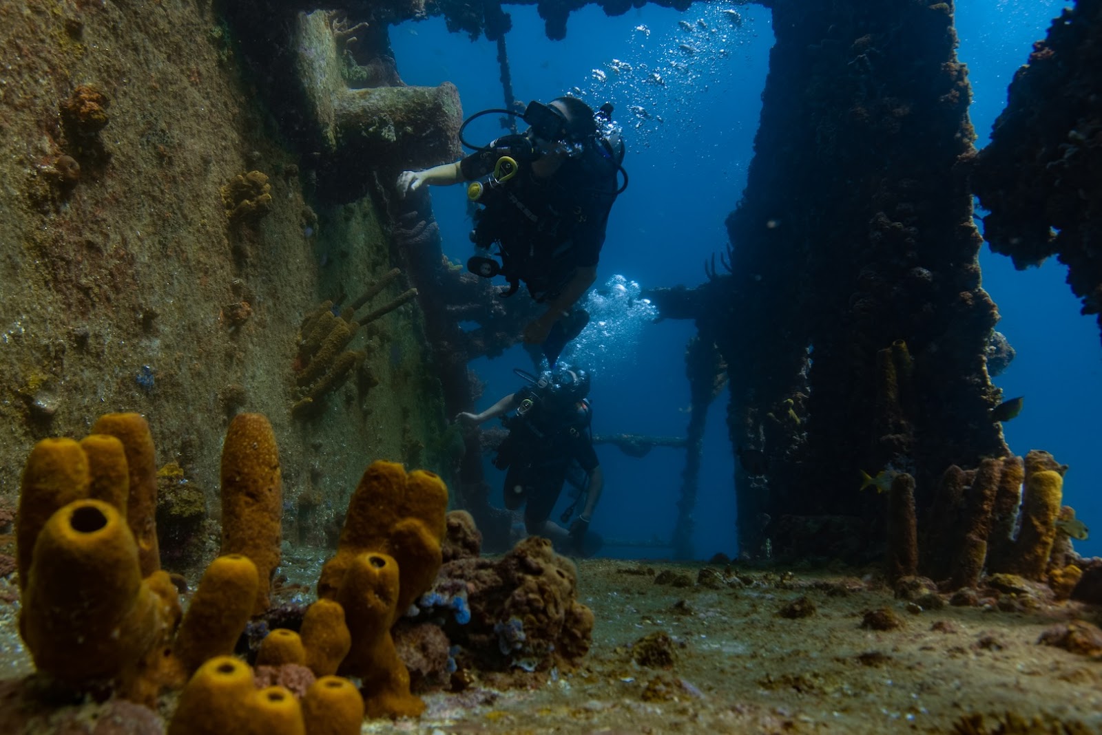 Diving at the Antilla wreck