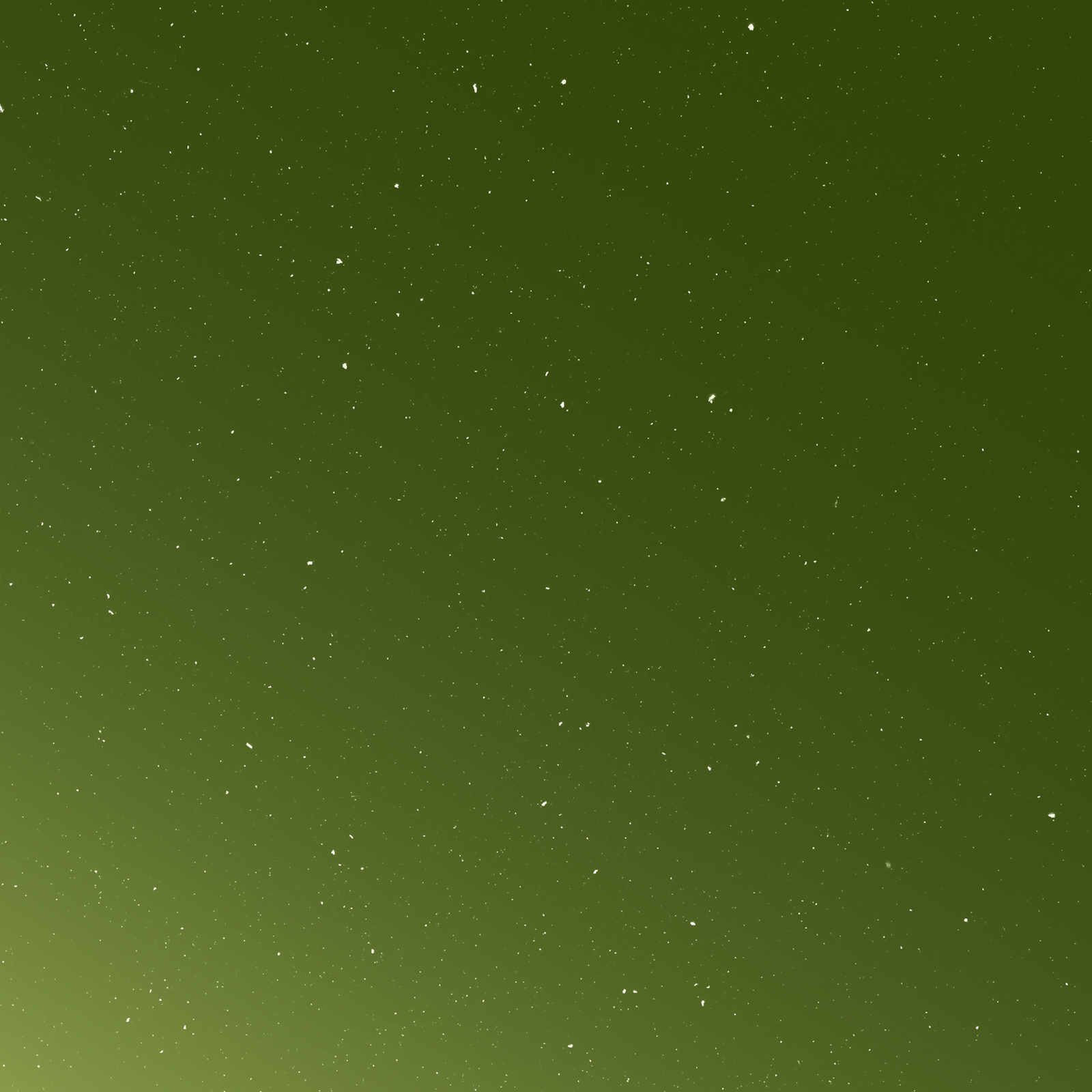 Download Starry Green Night Sky Gradient Full HD iPhone