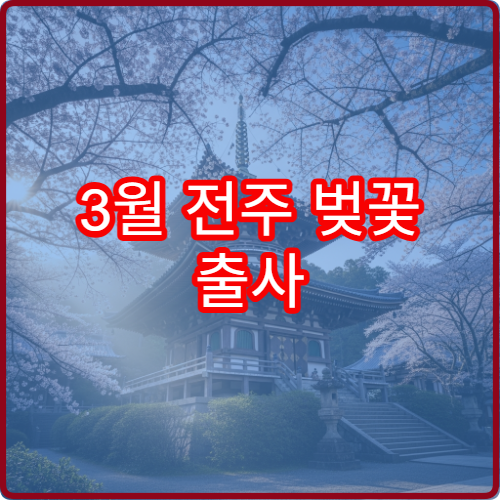 3월 전주 벚꽃 출사 새벽 6시 전통 한옥 배경 스팟
