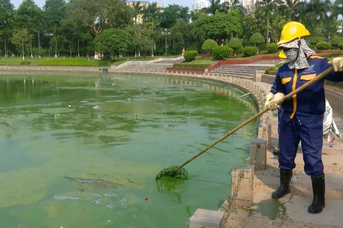 Hồ điều hòa Công viên Hòa Bình đang bị ô nhiễm - Đài Phát thanh và truyền hình Hà Nội
